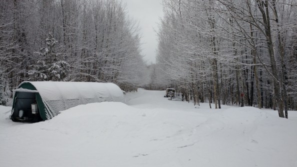 IMG_20170405_084525682