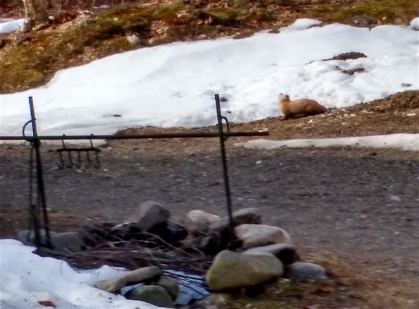 IMG_20170413_083249519_HDR