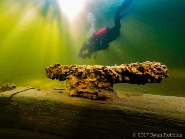 FB_IMG_1504310378468