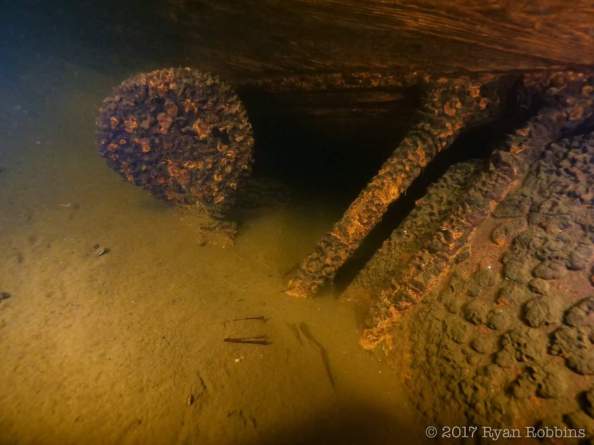 FB_IMG_1504310402479