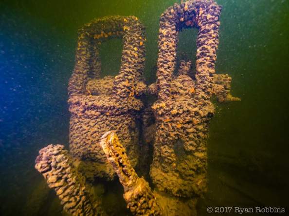 FB_IMG_1504310412237