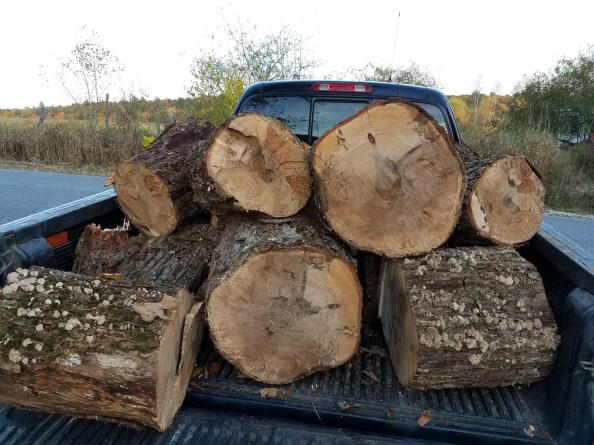 20171022_164501_resized